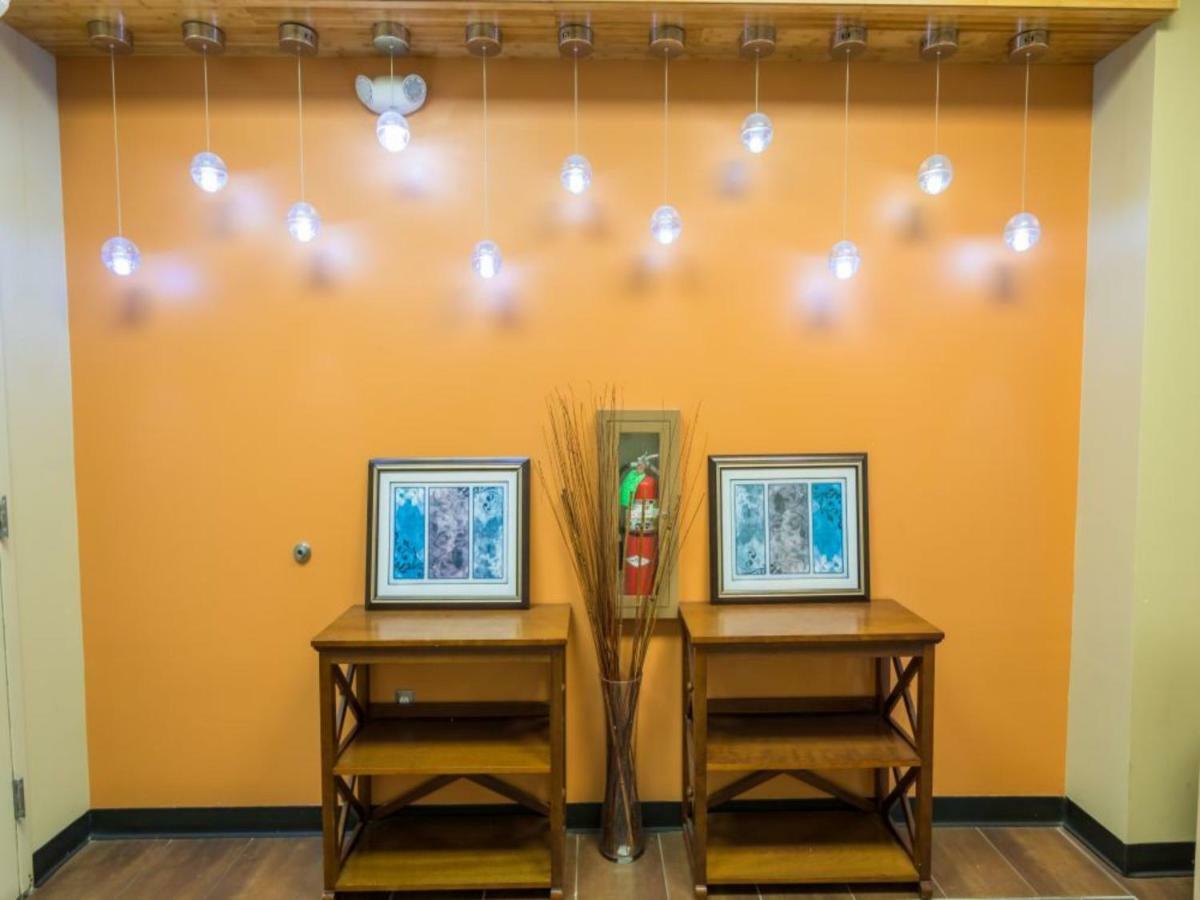 Spacious Steps Away From French Quarter Apartment *